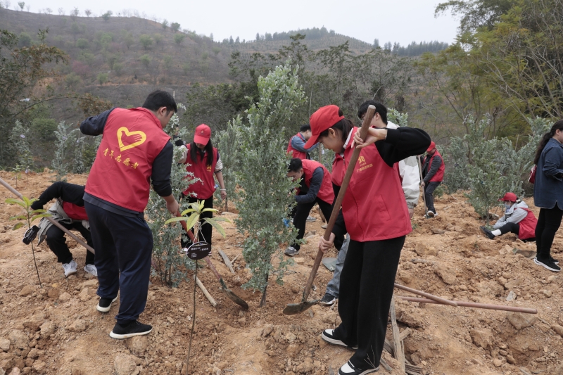 K8官网 - 天生赢家·一触即发